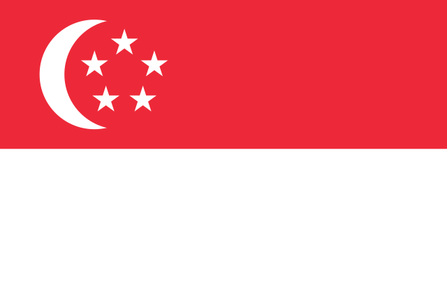 🇸🇬